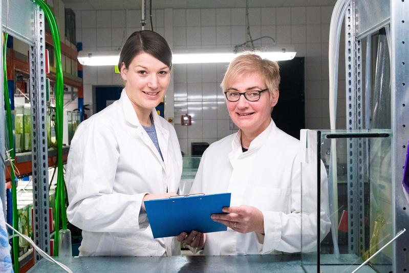 Dr. Sarah Hartmann und Prof. Dr. Klaudia Witte (v.l.) bei der Arbeit im Labor der Universität Siegen.