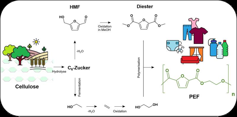 Auf Basis von Cellulose, z. B. Abfälle der Landwirtschaft, kann mit geeigneten Katalysatoren in wenigen Schritten ein nachhaltiger Kunststoff hergestellt werden. Die Anwendungszwecke des PEF sind vielseitig: von Textilfasern bis zu Verpackungsmaterial.