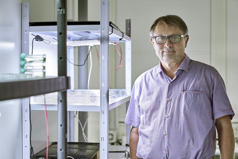 Tilman Lamparter ist Professor für Allgemeine Botanik am KIT (Foto: Amadeus Bramsiepe, KIT)