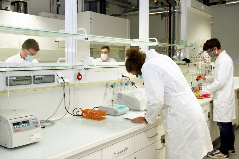 Das Biochemie-Praktikum für Master-Studierende der Chemie findet momentan unter besonderen Hygiene- und Abstandsregeln wegen der Coronavirus-Pandemie statt. 