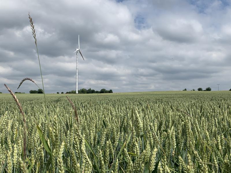 Erneuerbare Energieträger wie Solar- oder Windkraft sind essenziell, wenn es darum geht, die Klimaziele zu erreichen.