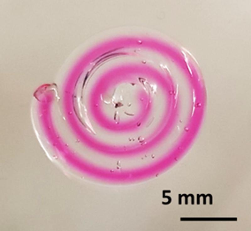 Gedruckte Faser, die lebende medikamentenproduzierende Bakterien im Kern (rosa) enthält.