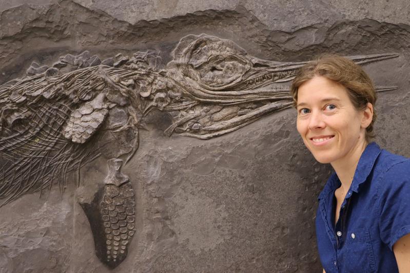 Dr. Erin Maxwell with a specimen of the ichthyosaur Hauffiopteryx typicus