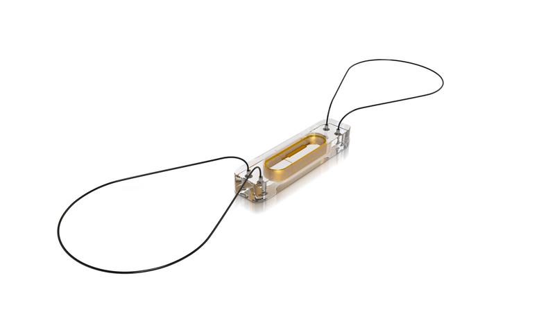 Der 15 Millimeter lange Sensor des CardioMEMSTM HF Systems  wird mit zwei Drahtschlaufen in der Pulmonalarterie fixiert.