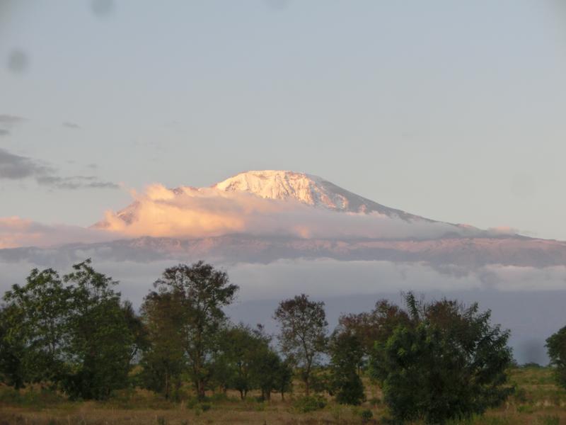 Der Kilimandscharo, höchster Berg Ostafrikas, ist Heimat von rund 1,2 Millionen Menschen, die von der Natur vor Ort profitieren. 