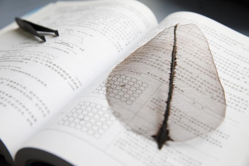 The researchers coated leaf veins with copper, thus transforming them into electrically conductive and optically transparent electrodes. 