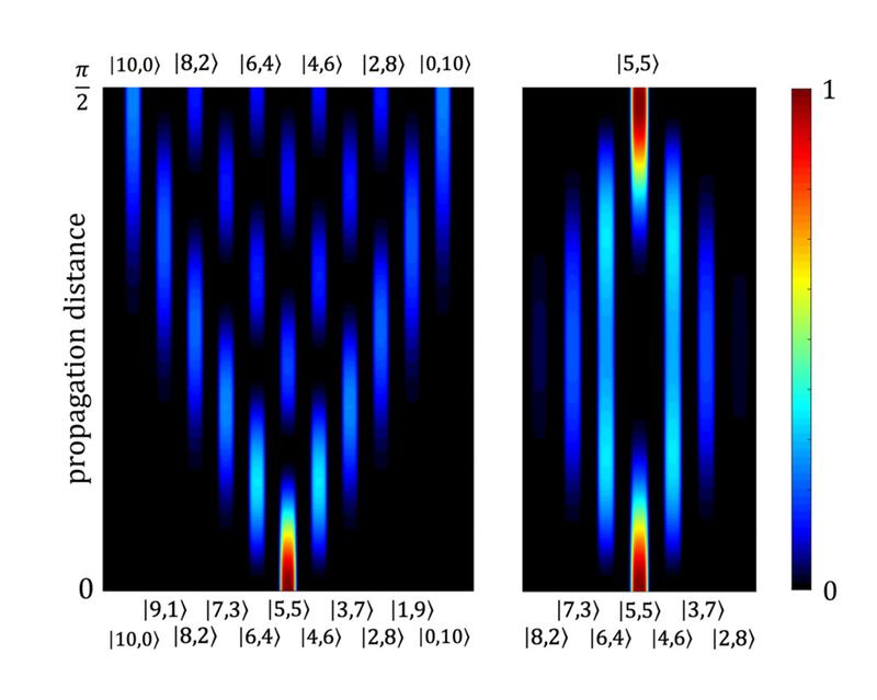 Diskrete Beugung und Bloch-Oszillationen im abstrakten Fock-Raum der durch einen einfachen Strahlteiler aus zwei Wellenleitern hervorgeht, die durch den Zustand l5,5mit 10 Photonen angeregt werden.