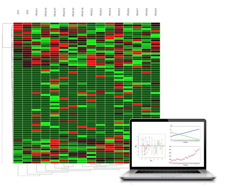 Molekulare Diagnostik mit „PREDICT-Cards“: Für jede Patientin und jeden Patienten wird ein individuelles Profil erstellt, indem der Aktivitätszustand der auf den PREDICT-Cards hinterlegten Markern überprüft und aufgezeichnet wird. 