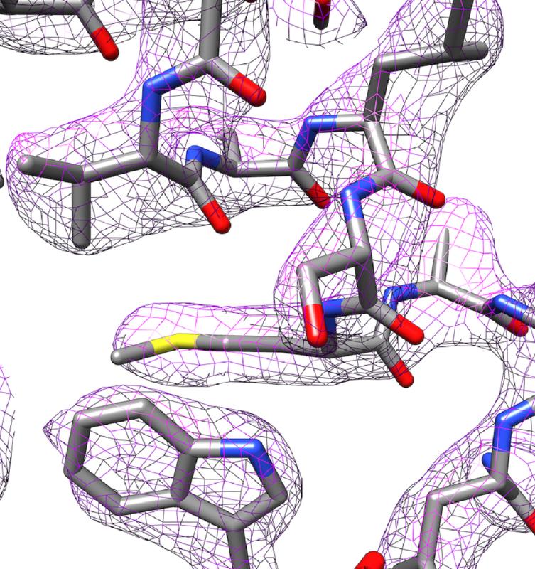 Teil der 3D-Struktur von Apoferritin