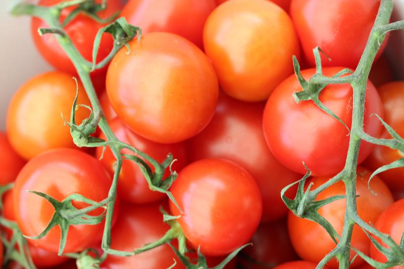 Mit Tomate (im Bild: Solanum lycopersicon) und Kartoffel gehören auch wichtige Kulturpflanzen zu den Asteriden.