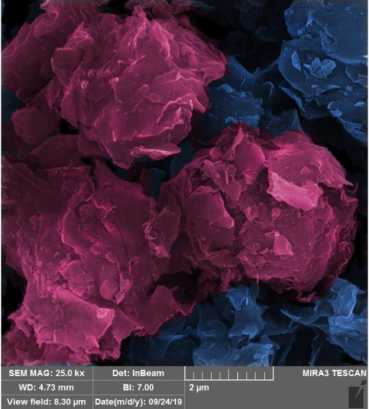 Blick durchs Rasterelektronenmikroskop: Die Ansammlung von Ton-Nanopartikeln bildet eine einzigartige Struktur in Form einer Rosenknospe.