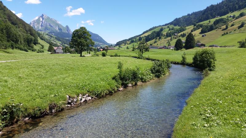 In der Thur (im Bild im Toggenburg) wurden an verschiedenen Stellen Umwelt-DNA Proben analysiert, um Vorhersagen zur Biodiversität der Gewässerinsekten zu machen.