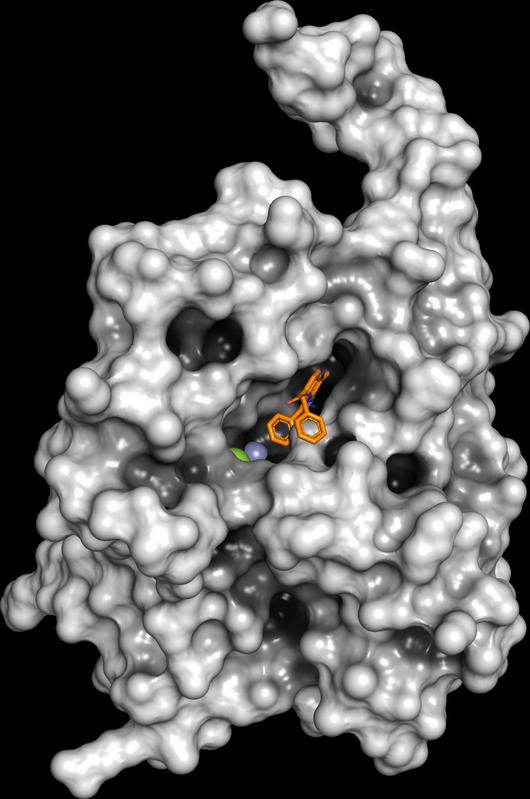 Protein Kristallstruktur