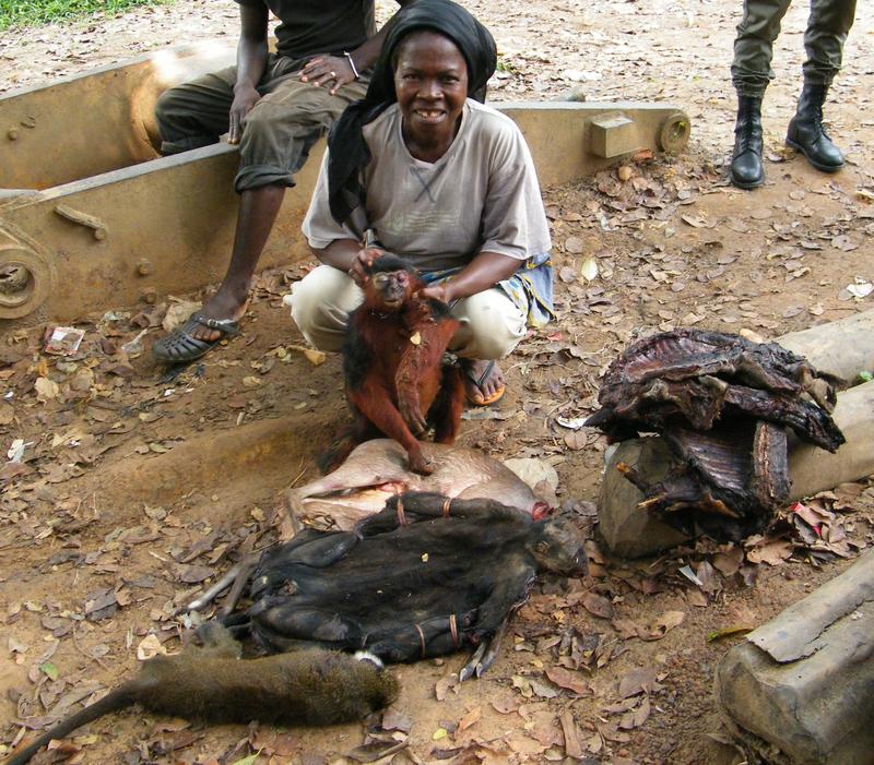 Millions of people, especially in the Global South, depend on wild meat for their livelihoods. 