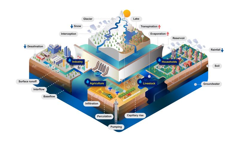 Schematic figure of the processes included in the Community Water Model.