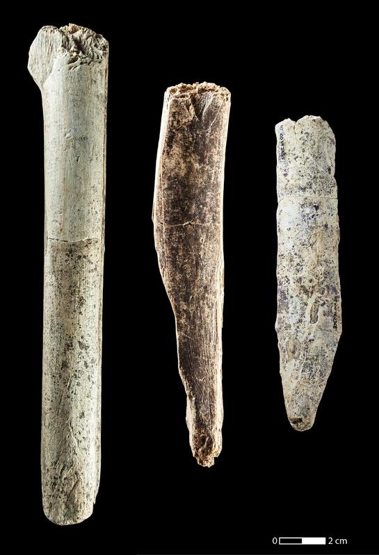 Die Meißel aus Mammut-Elfenbein wurden vermutlich zu unterschiedlichen handwerklichen Zwecken genutzt.