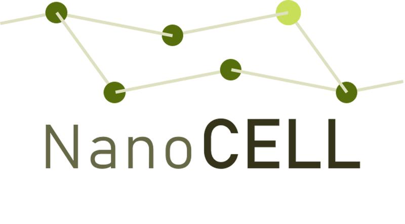 Das BMBF-Projekt »NanoCELL« erforscht das Verhalten von Nanocellulose entlang ihres Lebenszyklus für eine zuverlässige Risikoabschätzung und einen sicheren Einsatz in umweltfreundlichen Verpackungsmaterialien.