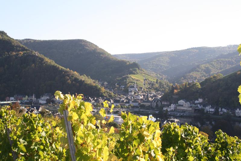 Die Kommune Traben-Trarbach und die Universität Trier beschäftigt sich in einem neuen Projekt mit den Auswirkungen des Klimawandels auf Weinbau und Tourismus. 