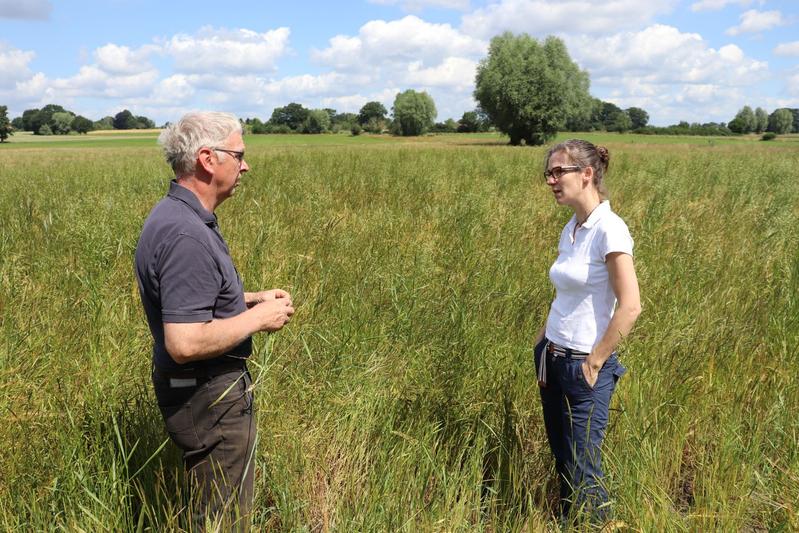 Farmer Friedel Könecke from Isernhagen makes his wheat field available for testing the laser weed control. Here, he is talking to the LZH project manager Dr. Merve Wollweber.