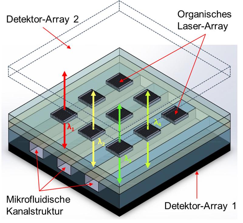 Schematische Darstellung eines optofluidischen Analysesystems. 