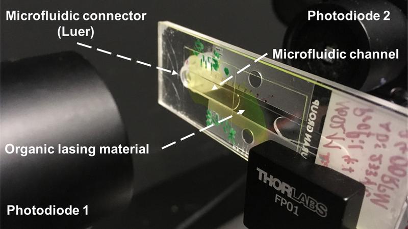 Laboraufbau mit einem optofluidischen Chip.