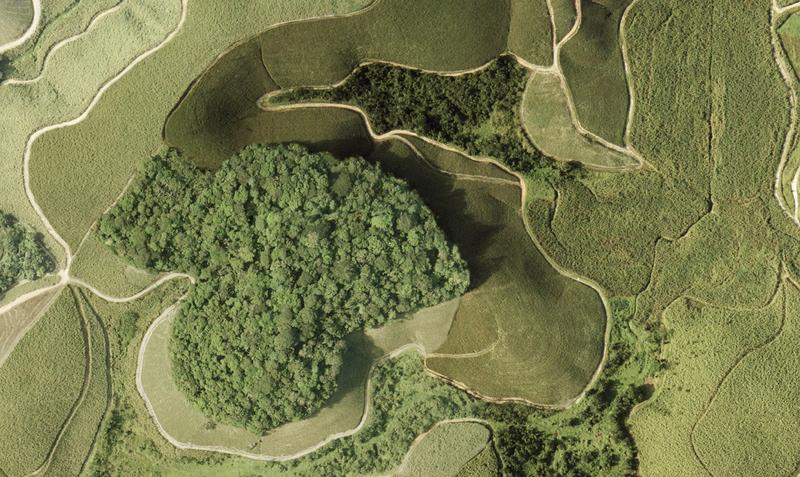Luftaufnahme eines Waldstückes im brasilianischen atlantischen Regenwald, der von Zuckerrohr umgeben ist.