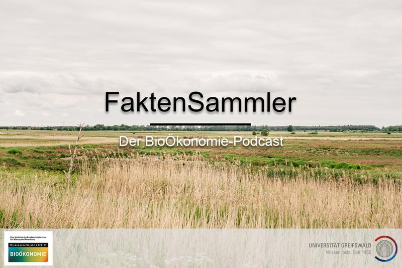 Symbolbild zum Podcast „FaktenSammler“ der Universität Greifswald 