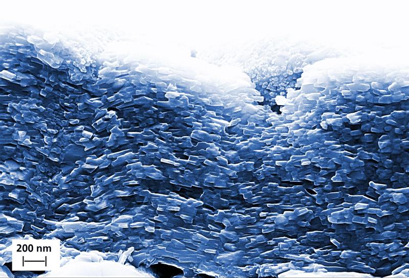 REM image of the fracture edge of a Ti2AlN coating with platelet-like shaped grains.