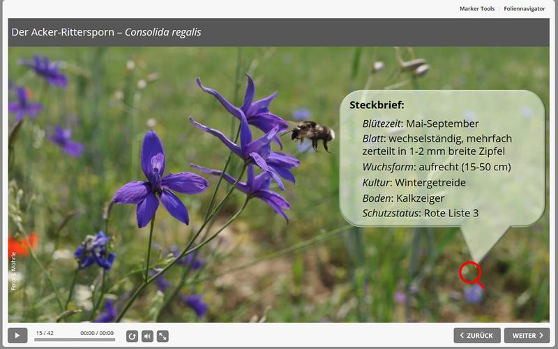 Screenshot aus dem Modul Ackerwildkräuter