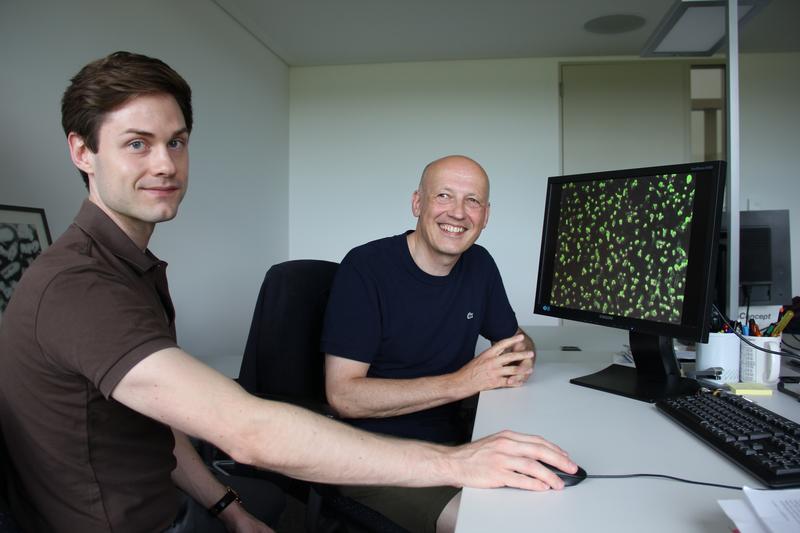Ferdinand Zettl und Gert Zimmer vom IVI vor einer Aufnahme des von ihnen entwickelten Tests mit grün fluoreszierenden Zellen.