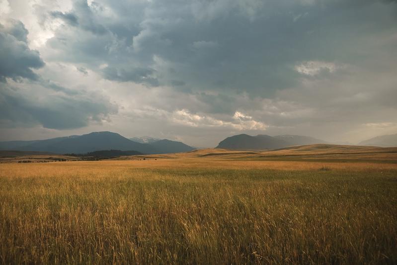 Regional auftretende Missernten sind häufig das Ergebnis einer Kombination verschiedener Wetterphänomene: Das zeigt eine aktuelle Studie unter Leitung des ZALF.