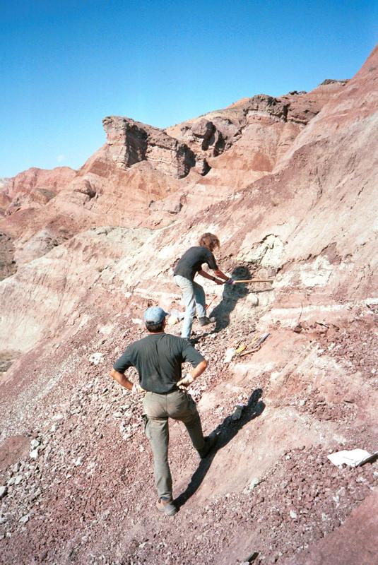 Grabung im Junggar-Becken in Nordwest-China im Jahr 2001: Fundstelle des Dinosaurierknochens mit Bissspuren.