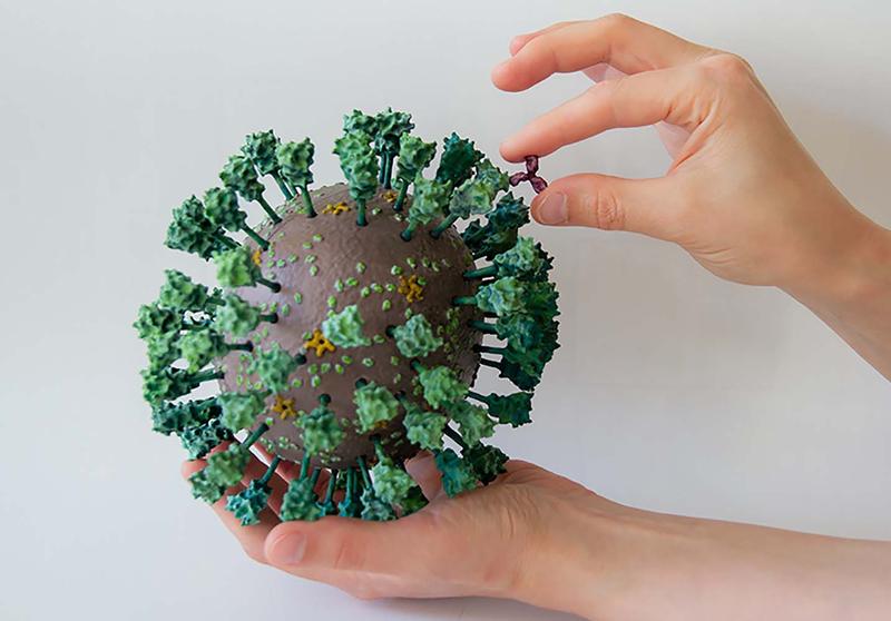 Foto 1: das 3D-Modell des neuen Coronavirus SARS-CoV-2 und eines Antikörpers, 1.000.000-fach vergrößert.