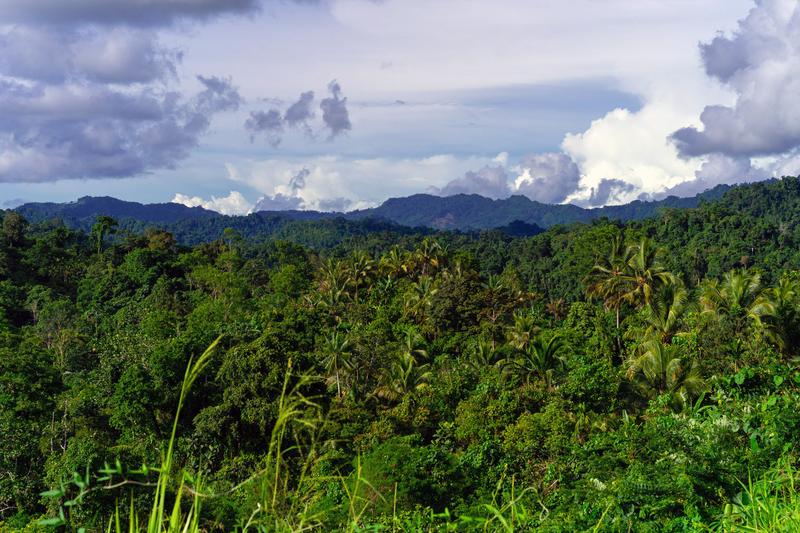 Blick auf Wald und Berge, aufgenommen vom Lae-Madang-Highway in der Provinz Morobe, Papua-Neuguinea. 