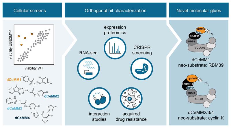 Graphical Abstract