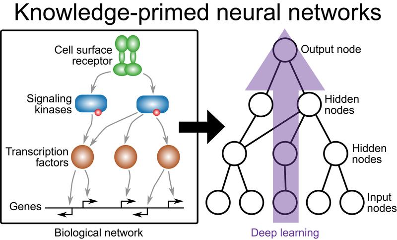 Abbildung 1 - Nikolaus Fortelny et al (Genome Biology)