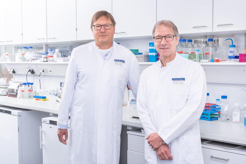 Prof. Dr. Stephan Urban (li.) und Prof. Dr. Ralf Bartenschlager von der Abteilung für Molekulare Virologie des Zentrums für Infektiologie am UKHD