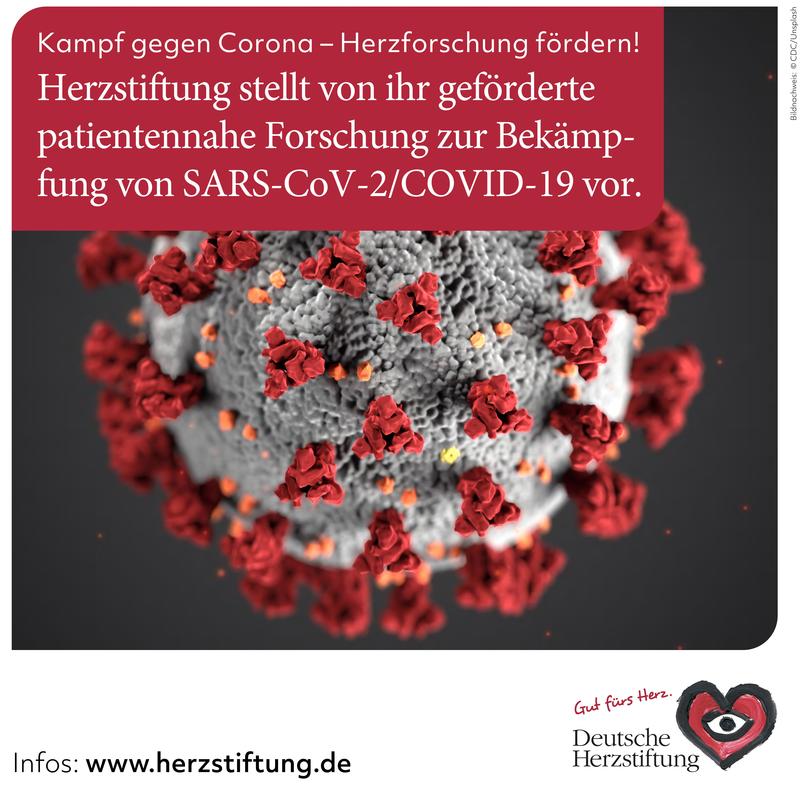 Die Herzstiftung hat in einer Ad-hoc-Initiative eine Million Euro für die Forschungsförderung im Kam ... 