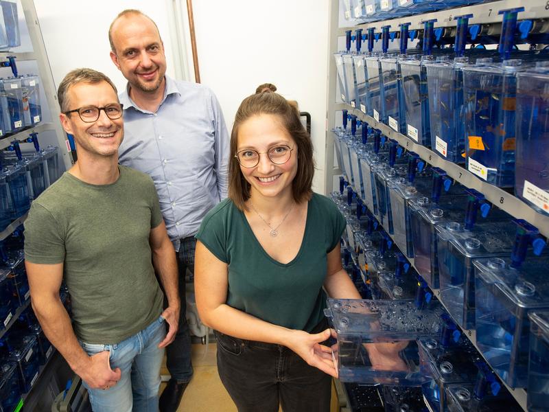 The research team: (from left) Prof. Dr. Heiko Reutter, Prof. Dr. Benjamin Odermatt and Magdalena Rieke from the University of Bonn with zebra fish breeding boxes. 