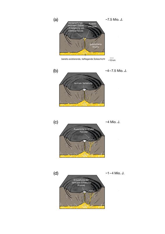 Durch Ausbrüche von Sole aus dem Innern des Zwergplaneten Ceres erhielt der Occator-Krater im Laufe von Millionen von Jahren seine heutige Gestalt.