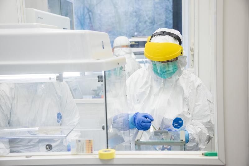 In the UZH clean room, the skeletons are examined for old genomes