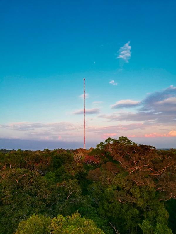 Sunset at the ATTO tower