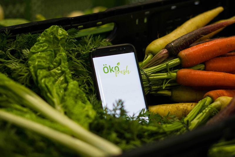 Frisches Obst und Gemüse vom regionalen Bauernhof direkt nach Hause – das ist das Ziel des Osnabrücker Bio-Lieferdienstes Ökofresh. Sechs Studierende haben für das Start-up zwei Apps entwickelt.