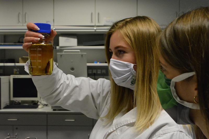 Das iGEM-Team der TUK setzt die praktischen Erfahrungen aus dem Studium im Wettbewerb um.