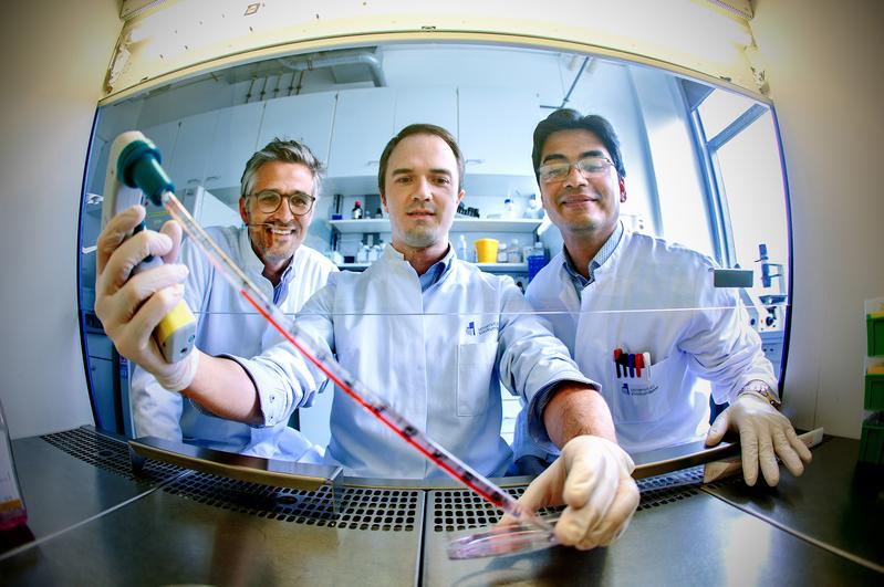 Andreas Zietzer (center), Felix Jansen (left) and Rabiul Hosen (right) from the Heart Center of the University Hospital Bonn working at a sterile culture bank. 
