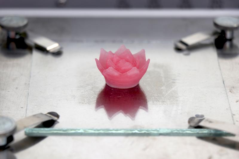 To demonstrate that fine aerogel structures can be produced in 3D printing, the researchers printed a lotus flower made of aerogel.