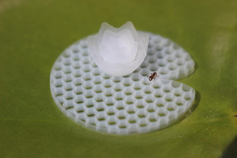 Um zu zeigen, dass sich feine Aerogel-Strukturen im 3D-Druck fertigen lassen, druckten die Forscher eine Lotusblüte aus Aerogel.