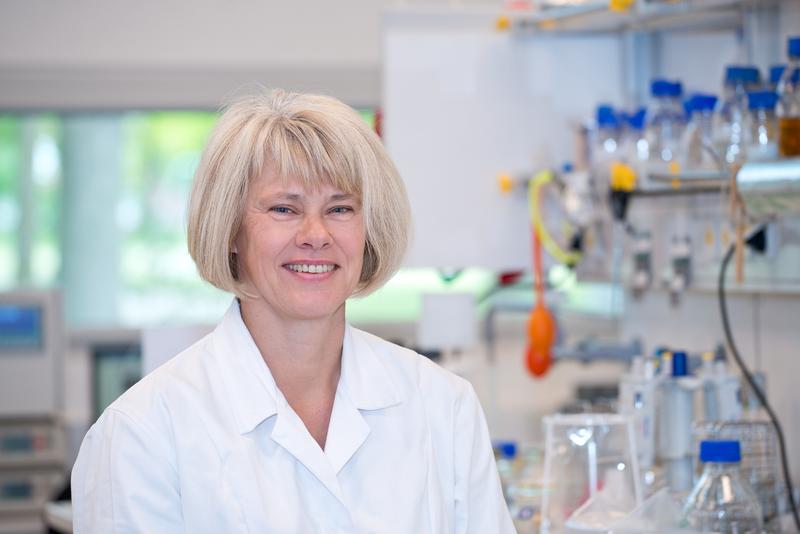Elke Nevoigt is Professor of Molecular Biotechnology at Jacobs University. She is working on the production process of the enzyme phytase. 