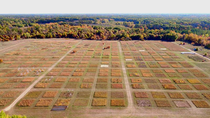 Luftaufnahme des „BioDIV Experiments“ in Minnesota, USA, das im Rahmen der Studie ebenfalls erforscht wurde. 