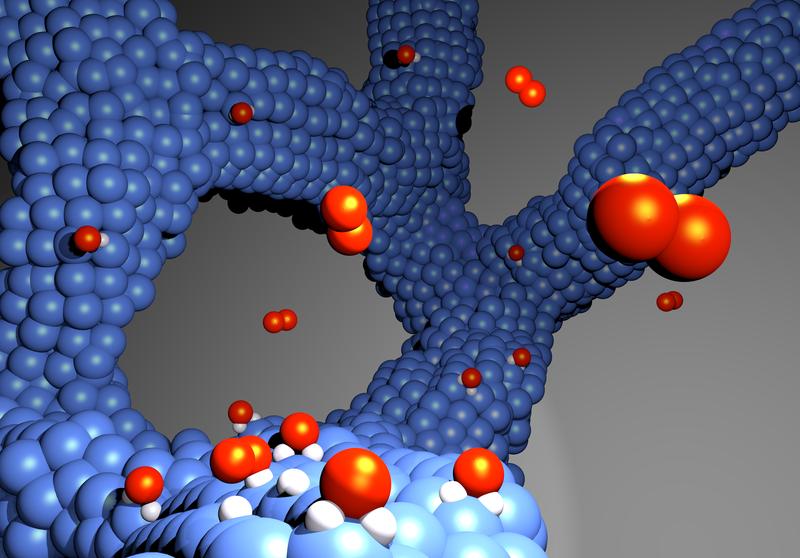 The new electrocatalyst for hydrogen fuel cells consists of a thin platinum-cobalt alloy network and, unlike the catalysts commonly used today, does not require a carbon carrier.